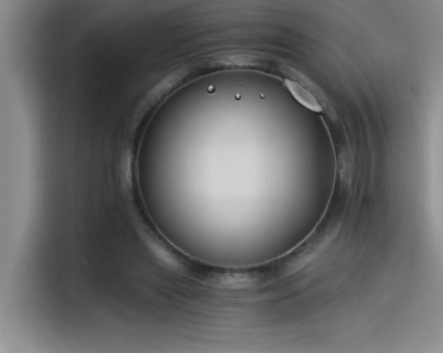 X0000115240445200911061151