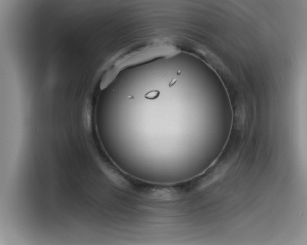 X0000115240446200911061151