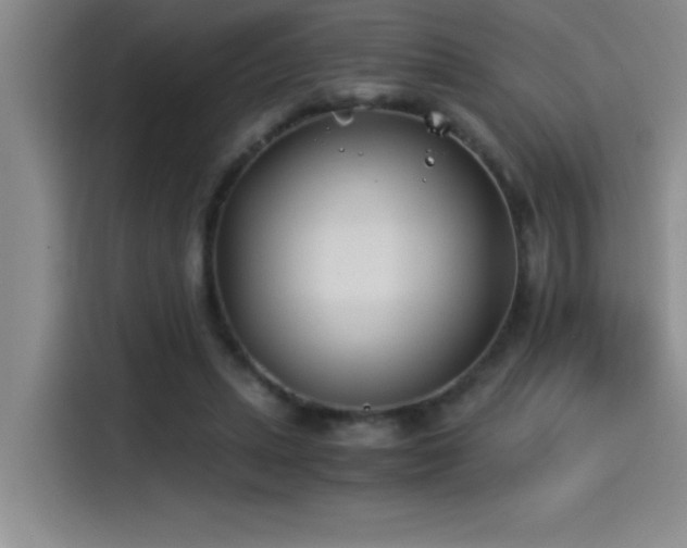X0000115240447200911061151
