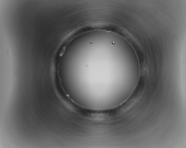 X0000115240448200911061151