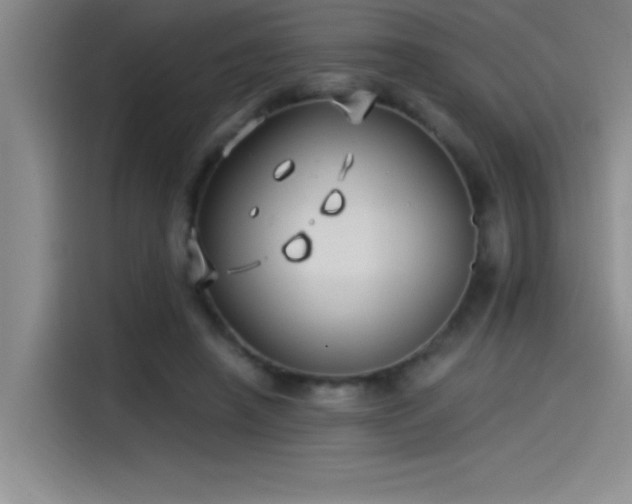 X0000115240450200911061151