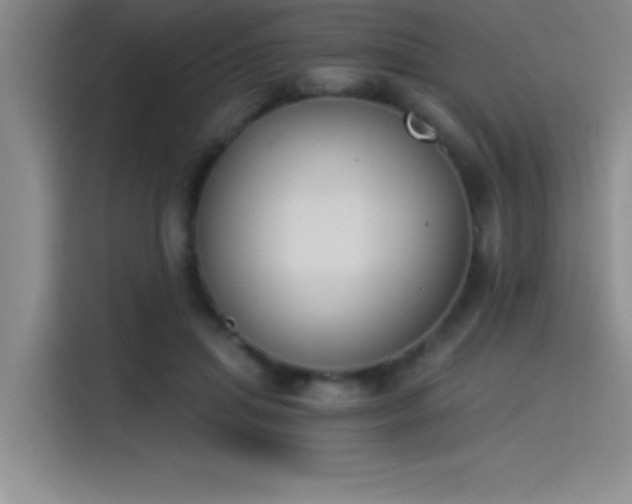 X0000115240455200911061151
