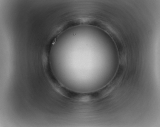 X0000115240456200911061151