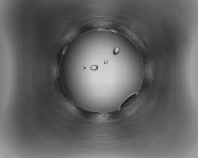 X0000115240474200911061151