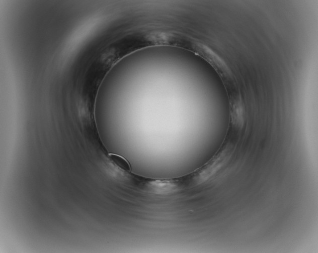 X0000115240477200911061151