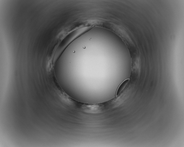X0000115240478200911061151