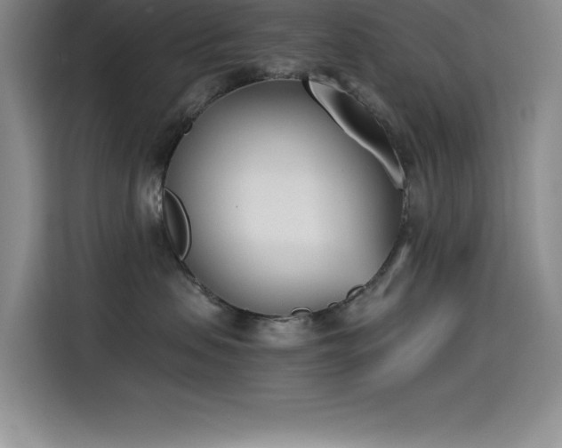 X0000115240479200911061151