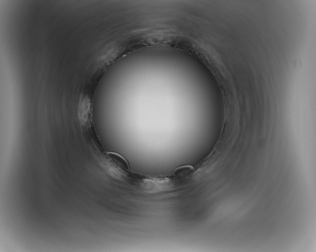 X0000115240480200911061151