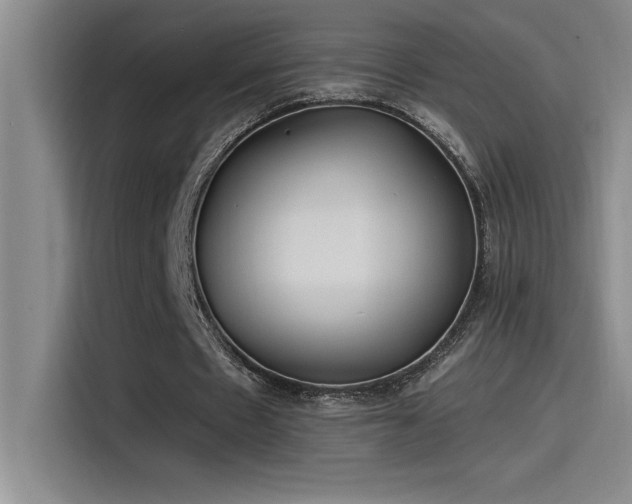 X0000115240481200911061151