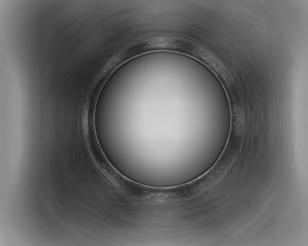 X0000115240482200911061151