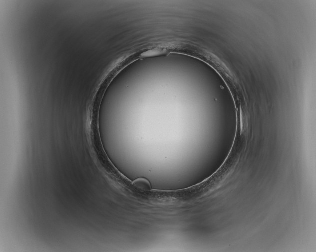 X0000115240483200911061151