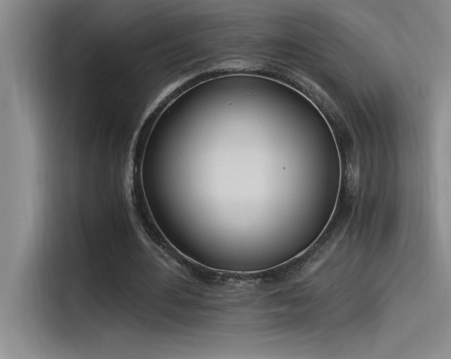 X0000115240484200911061151