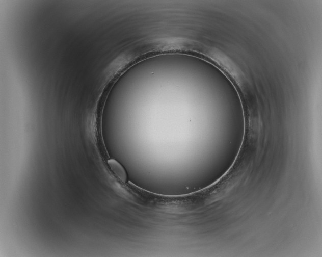X0000115240485200911061151