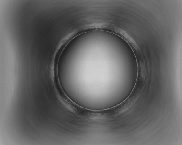X0000115240486200911061151