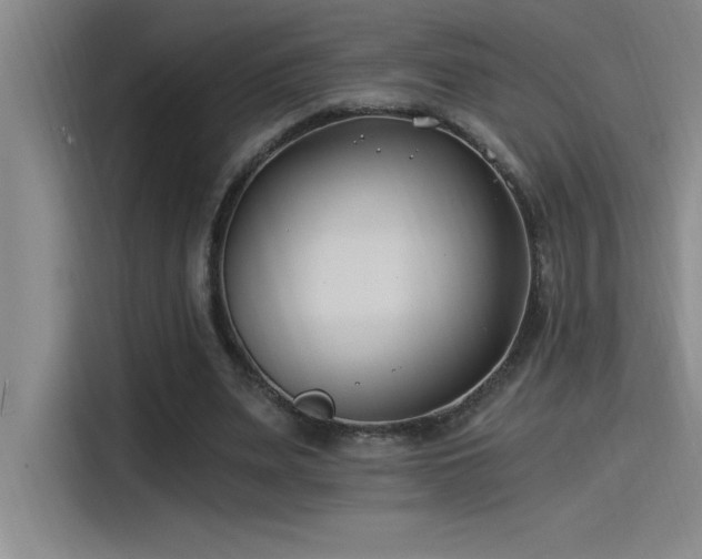 X0000115240487200911061151