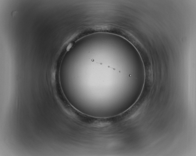 X0000115240491200911061150