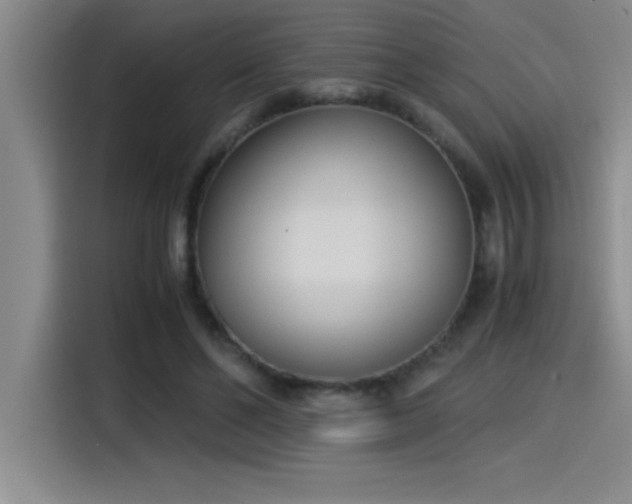 X0000115240494200911061150