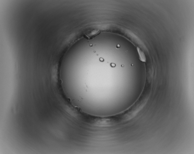 X0000115240497200911061150