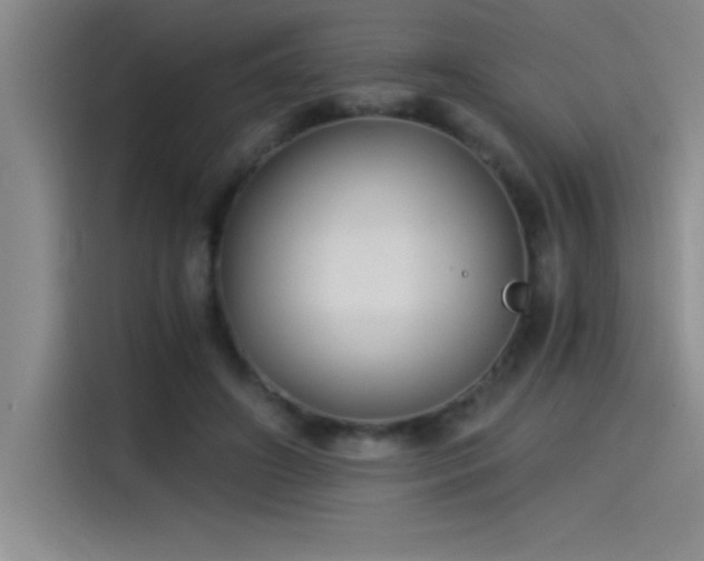 X0000115240498200911061150