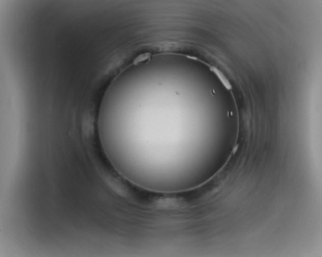 X0000115240499200911061150