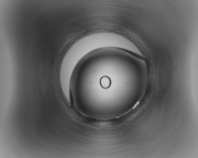 X0000115240501200911061150