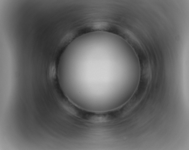 X0000115240502200911061150