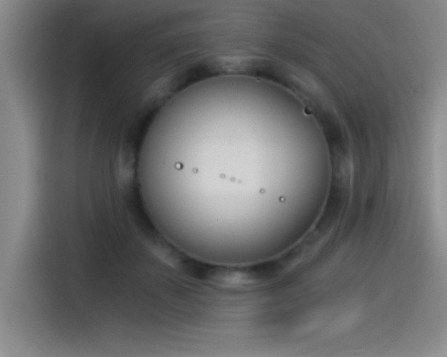 X0000115240507200911061150