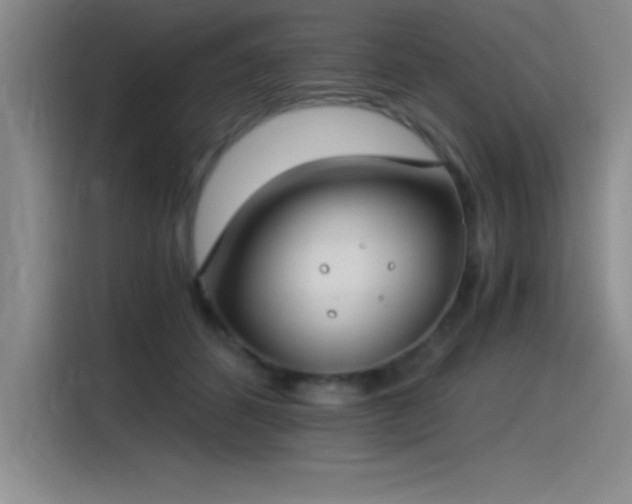 X0000115240512200911061150