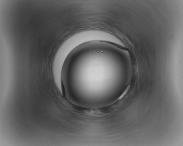 X0000115240517200911061150