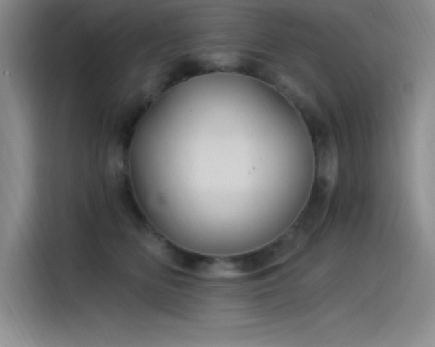 X0000115240518200911061150