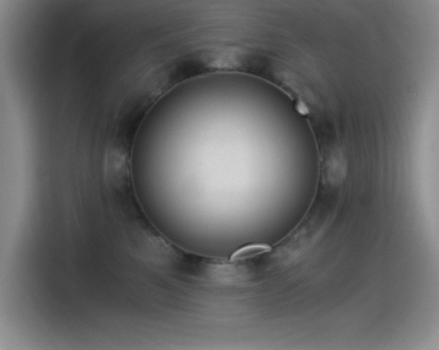 X0000115240521200911061150