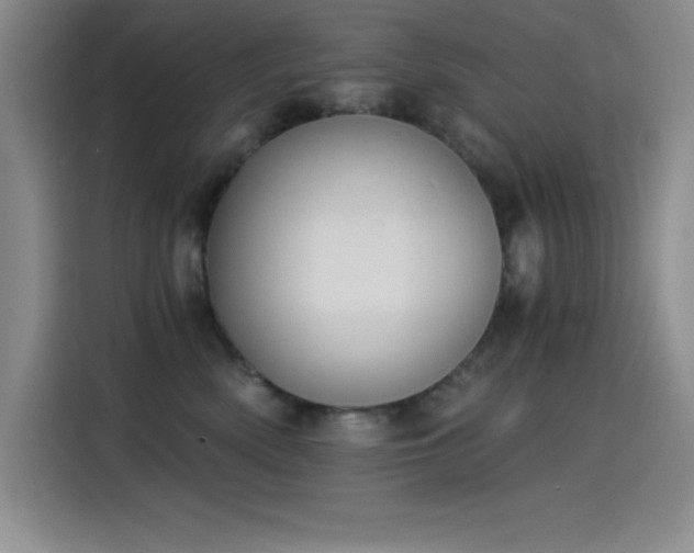 X0000115240522200911061150