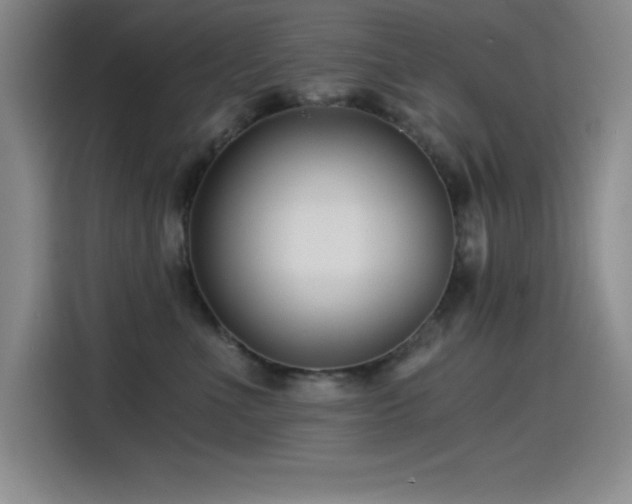X0000115240523200911061150