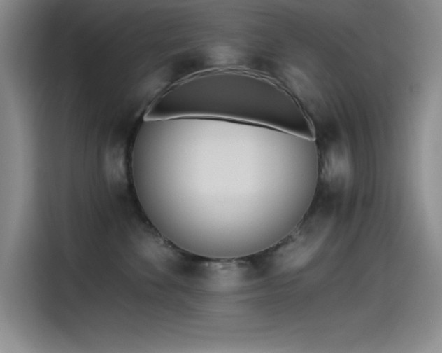 X0000115240524200911061150