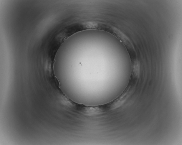 X0000115240525200911061150
