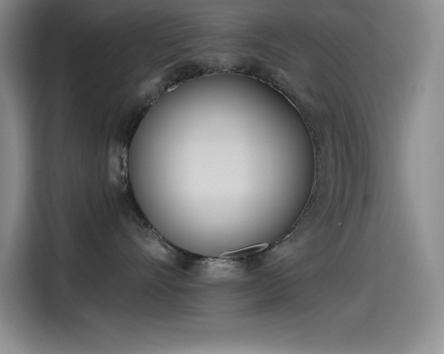X0000115240528200911061150