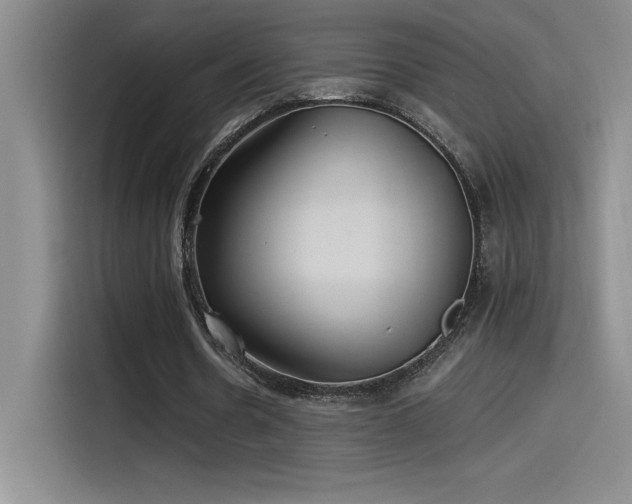 X0000115240530200911061149
