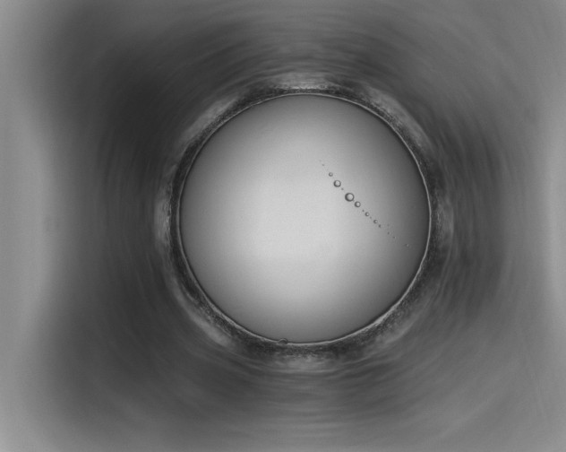 X0000115240533200911061149