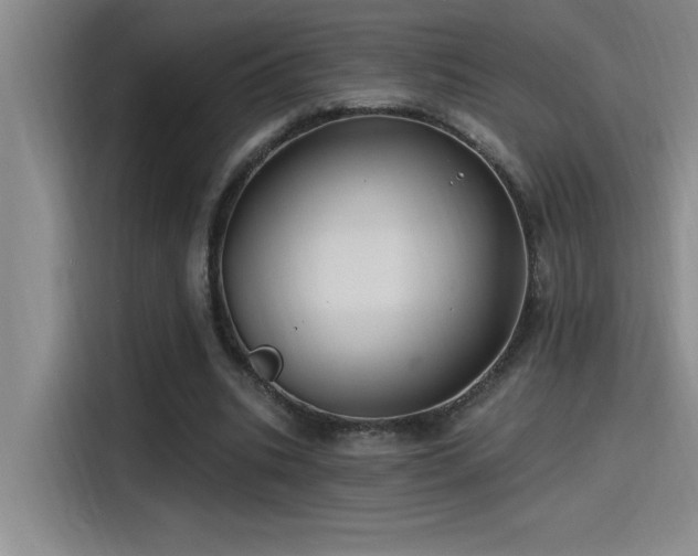 X0000115240535200911061149