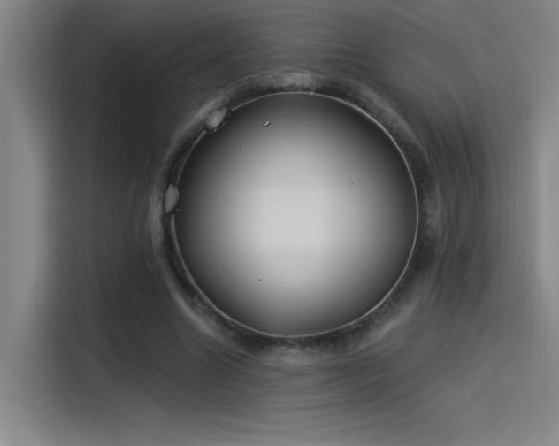 X0000115240538200911061149