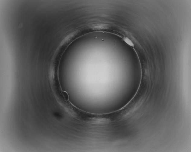 X0000115240539200911061149