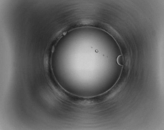 X0000115240542200911061149
