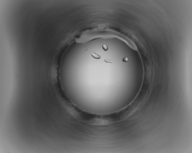 X0000115240545200911061149