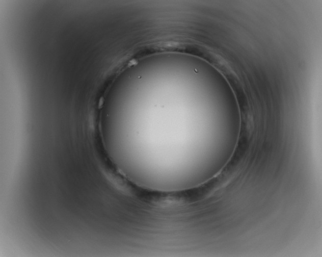 X0000115240546200911061150