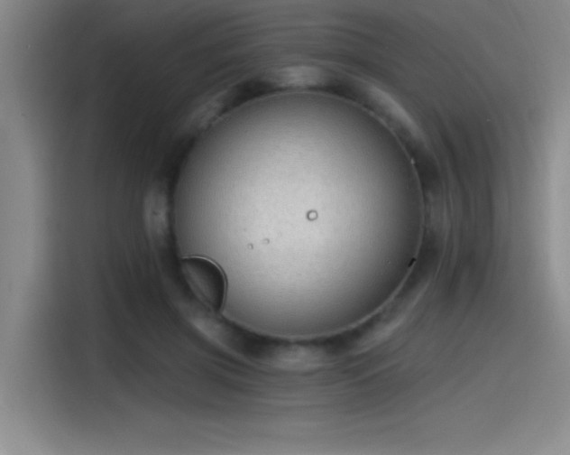 X0000115240549200911061150