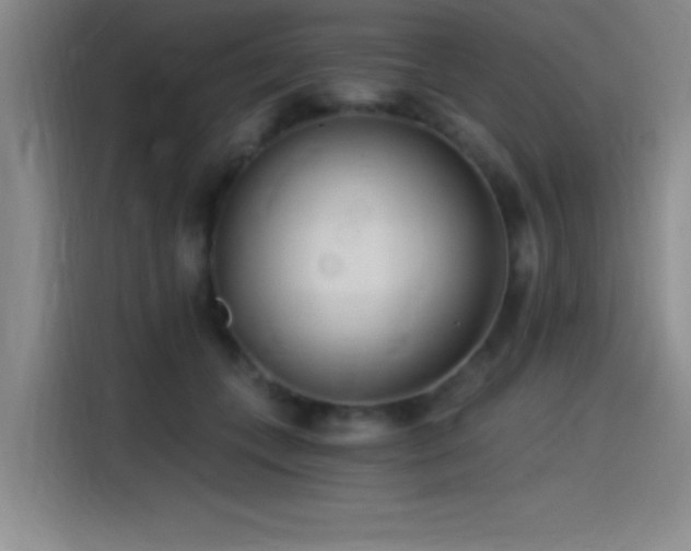 X0000115240559200911061150