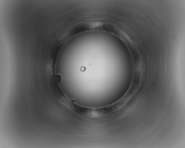 X0000115240565200911061150