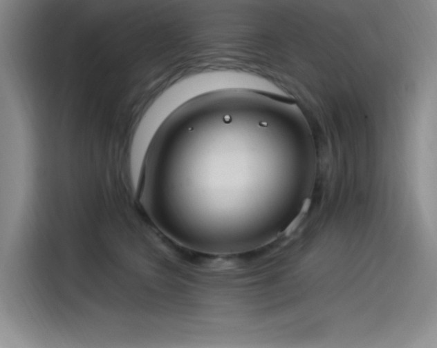 X0000115240566200911061150
