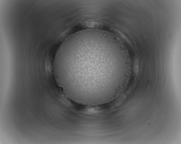 X0000115240569200911061150