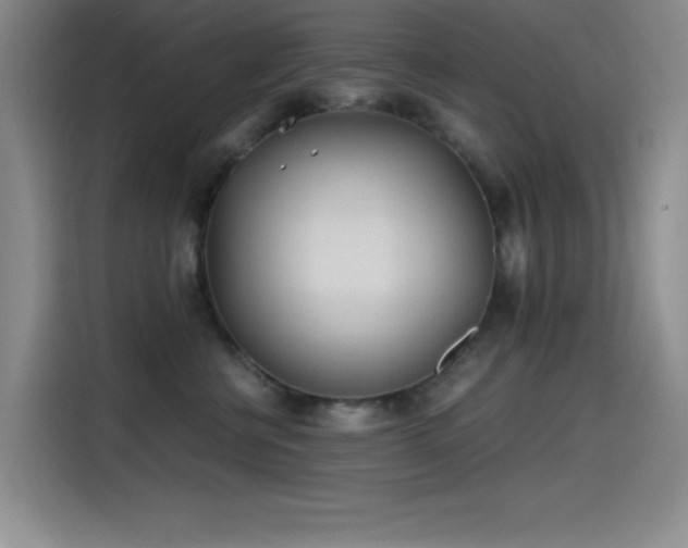 X0000115240570200911061150